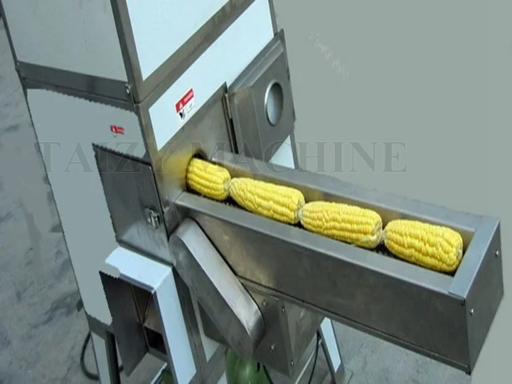 Fresh corn thresher machine is at work