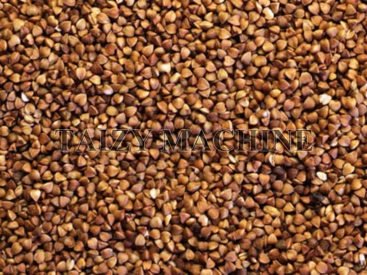 Fully Automatic Grain Cleaner Machine With Wind - Transported Conveyor 4 buckwheat cleaned by the grain cleaner machine