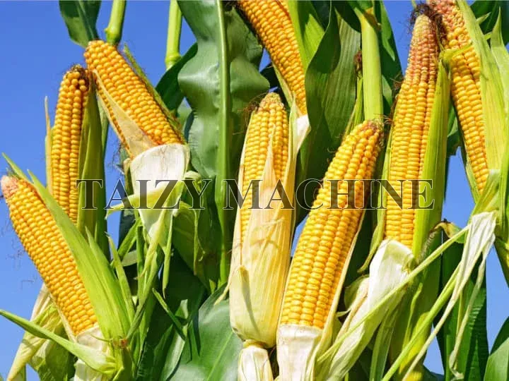 Mobile Grain Dryer for Small Farm 9 corn can be dried by small grain dryer