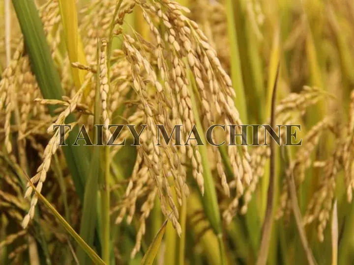 Mobile Grain Dryer for Small Farm 8 rice can be dried by small grain dryer