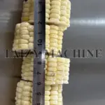 3 cm corn segments cut by corn cob cutter