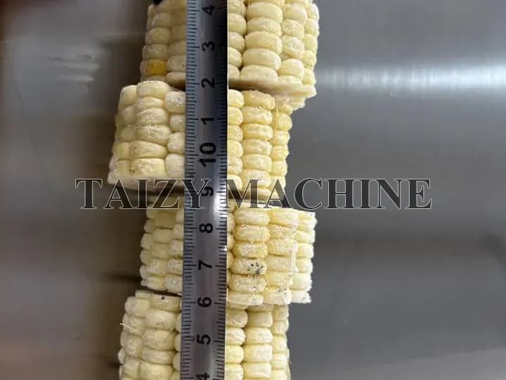 Automatic Sweet Corn Cutting Machine For Processing Fresh Maize 3 3 cm corn segments cut by corn cob cutter