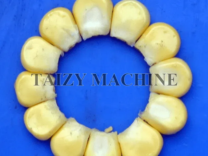 after peeled by fresh corn thresher