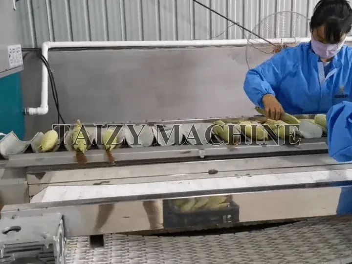 Industrial Corn Husk Remover For Large Food Processing Factory 2 automatic conveyor belt of electric corn shucker
