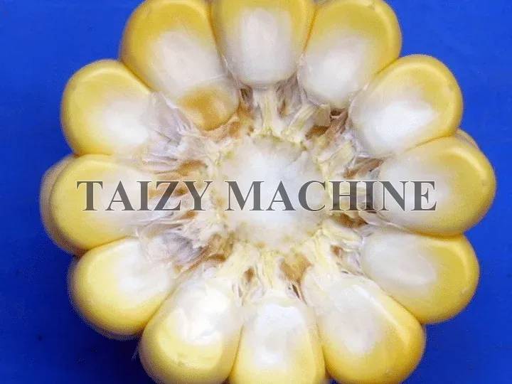 before peeled by sweet corn sheller