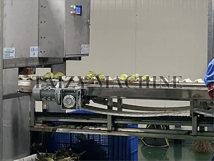 corn conveyor belt of corn cob shucker
