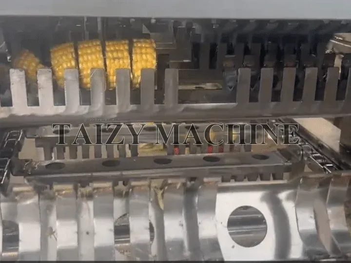 Automatic Sweet Corn Cutting Machine For Processing Fresh Maize 2 smooth surface of cut piece of sweet corn