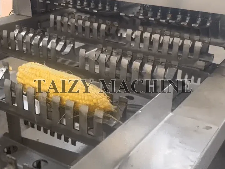 Automatic Sweet Corn Cutting Machine For Processing Fresh Maize 7 corn transmission system and trays of sweet corn cutting machine