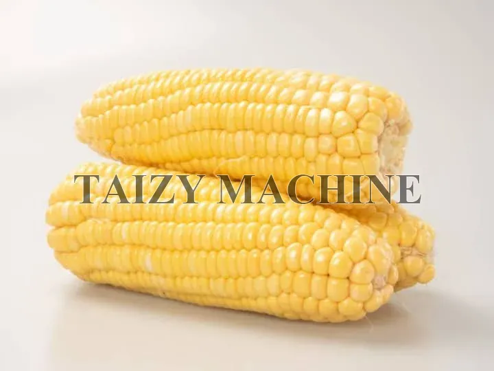 Industrial Corn Husk Remover For Large Food Processing Factory 4 husked and de-eared corn byelectric corn shucker