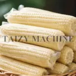 vacuum packed corn