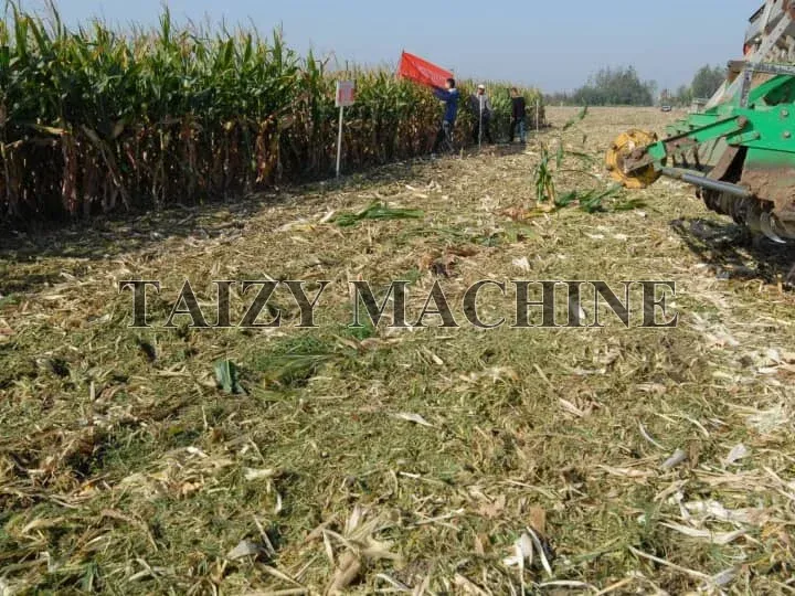 corn silage used as fertilizer