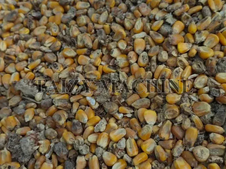 moldy seeds