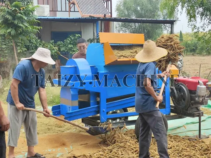 玉米剥粒机用于谷物打禾 10 小麦脱粒机