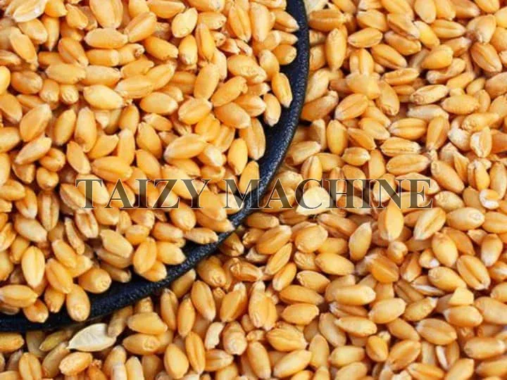 玉米剥粒机用于谷物打禾 7 小麦