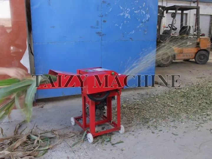 Small Chaff Cutter Machine For Cattle Feed Preparation 2 mini forage chopper