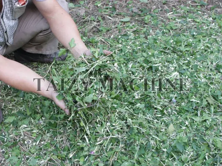 Forage Chopper For Silage Stalks Cutting 4 wet stalk chopping effect