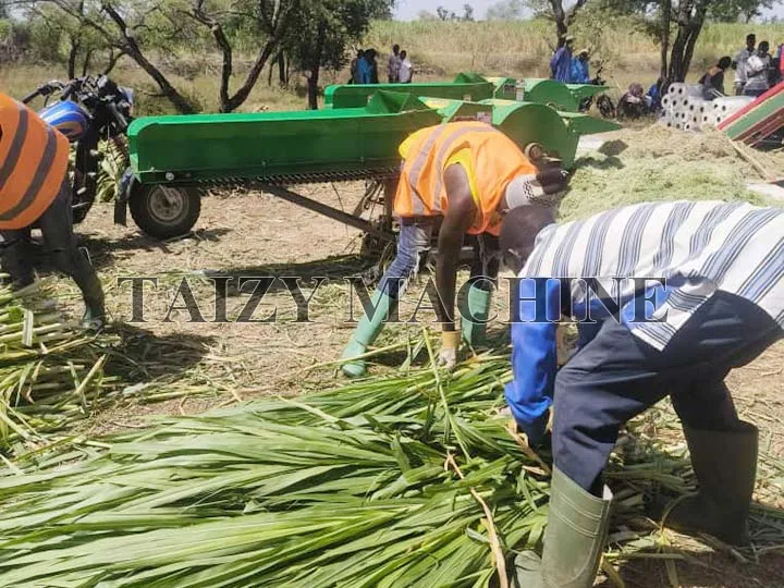 Forage harvester and baler wrapper machine