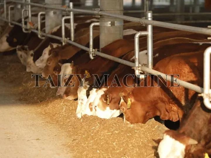 Multi-Functional Straw Shredder Corn Grinder 9 livestock farming