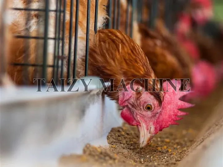 Multi-Functional Straw Shredder Corn Grinder 10 poultry farming