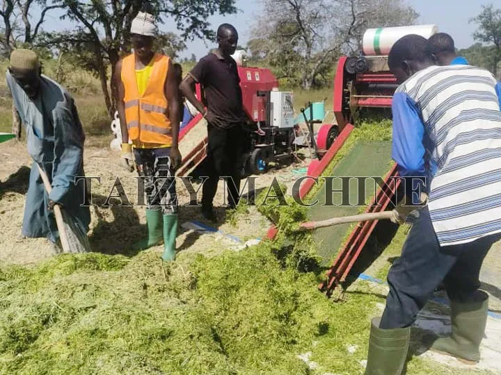 clients feed silage wrapper