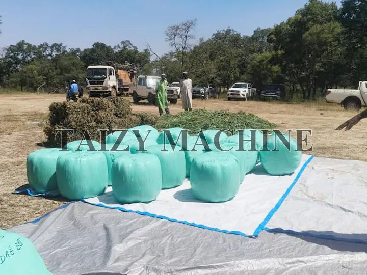 final products of grass packaging machine