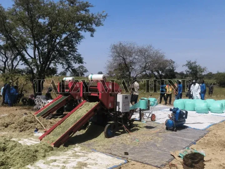 real feedback from Burkina Faso