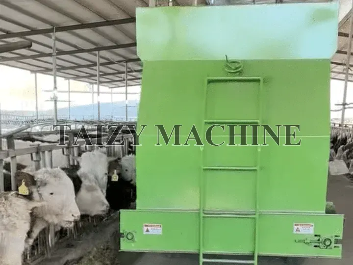 feeding process of cattle feed spreader