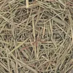 Rice straw (also known as rice stalks or rice haulms) consists of the stems and leaves remaining after rice has been threshed.