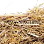 Rice straw consists of the stems, leaves, and leaf sheaths remaining after the rice grains are harvested.