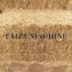 Wheat straw is the stalk of wheat after it has matured and been threshed; it is usually golden yellow.