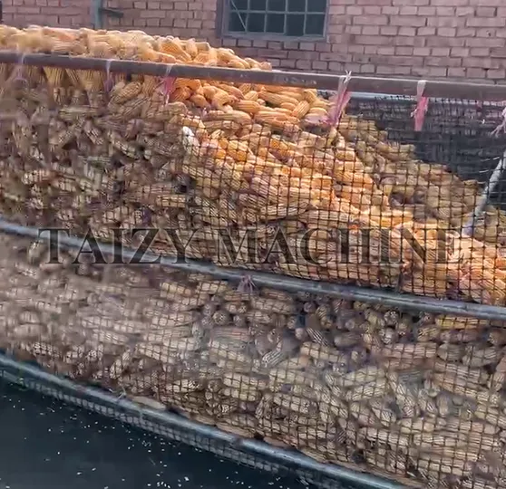 Container filled with harvested corn cobs