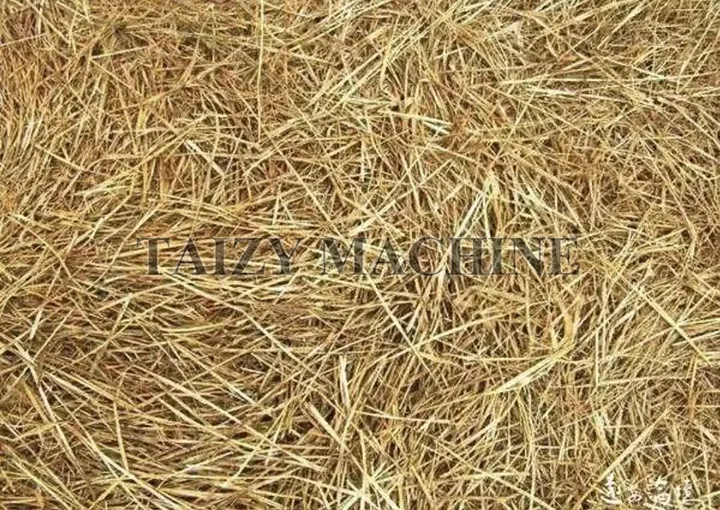 Wheat straw, also known as wheat stalks or wheat grass, refers to the stalks remaining after wheat has matured and been threshed.