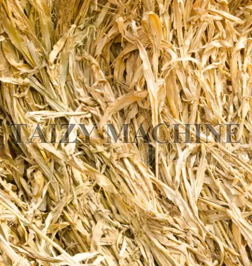 corn stalks