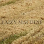 dry hay