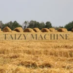 wheat straw