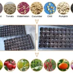 application of seedling tray machine