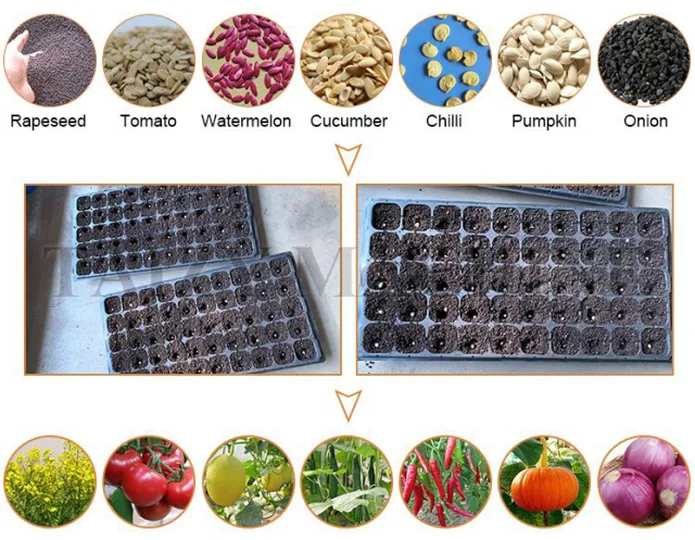 application of seedling tray machine