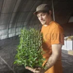 automatic seedling seeder customer feedback