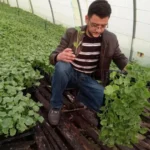 automatic seedling tray seeder customer review