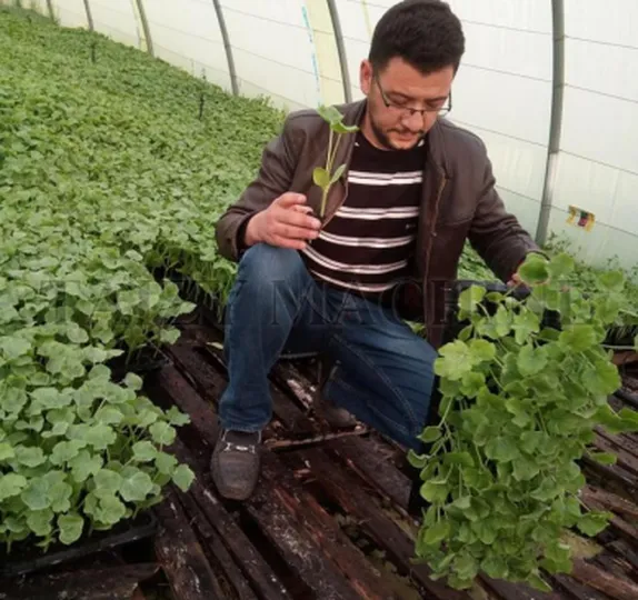 automatic seedling tray seeder customer review