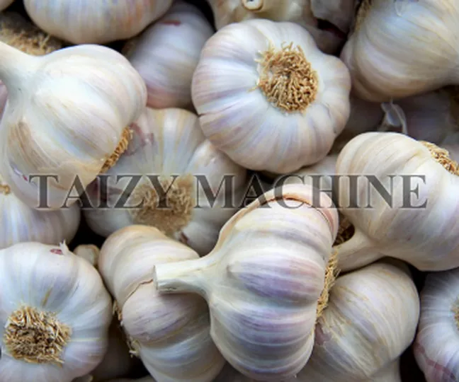garlic skin