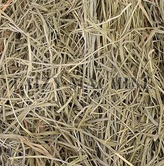 hay
