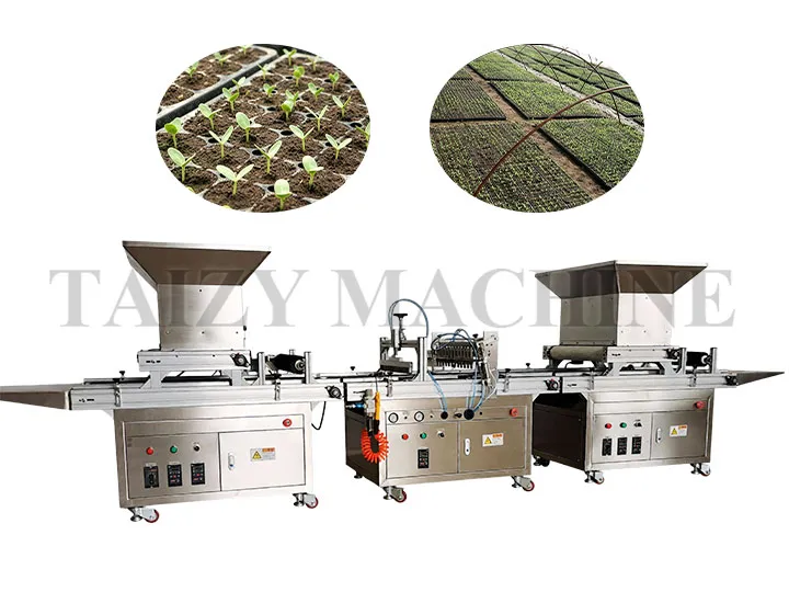 200-400 Trays/h Nursery Seedling Machine