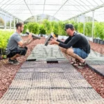 seedling planting machine factory visit
