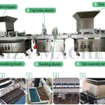 seedling raising machine structure