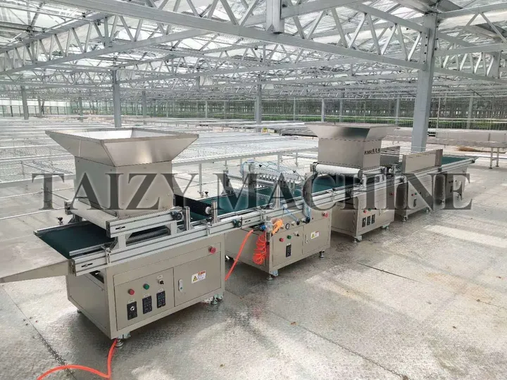 seedling tray seeder for sale