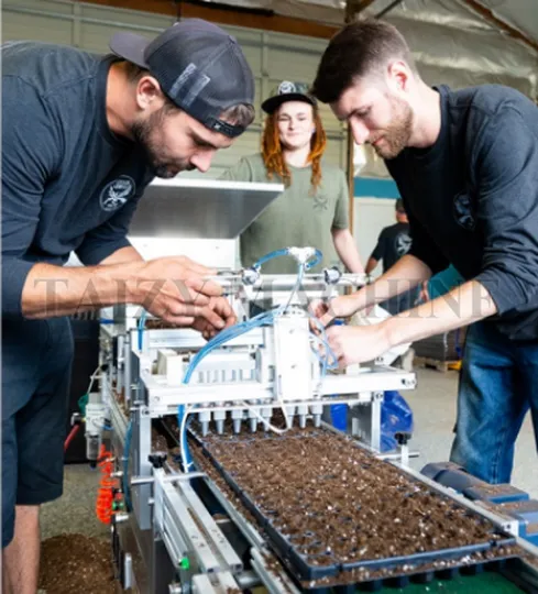 vegetable seedling raising machine customer visiting factory